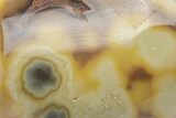 Polished Botryoidal Yellow Smithsonite - New Mexico #209531-1